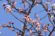 image0272