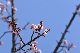 image0273