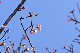 image0274