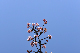 image0275