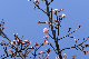 image0276