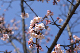 image0277