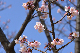 image0280