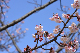 image0282