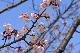 image0283