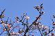 image0285