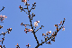 image0286
