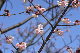 image0287
