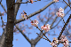 image0288