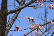 image0289