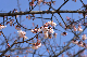 image0290