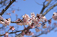 image0291