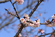 image0292