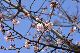 image0293