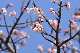 image0294