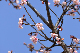 image0295