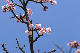 image0296