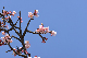 image0297