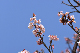 image0298