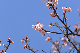 image0299