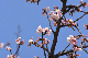 image0300