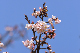 image0301