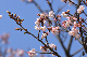 image0302