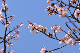 image0303