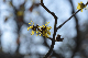 image0304