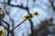 image0305