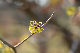 image0306