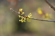 image0307