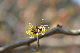 image0308
