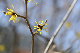image0309