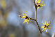 image0310