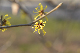 image0311