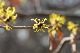 image0312