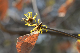 image0313