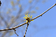image0314