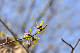 image0315