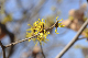 image0316