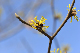 image0317