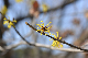 image0318