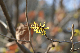 image0319