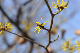 image0322