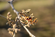 image0323