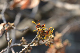 image0325