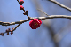 image0328