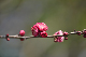 image0329
