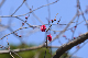 image0330